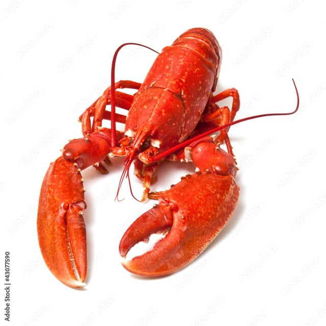 Lobster Bake